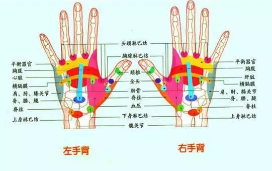 五指健身術:多動手多健康