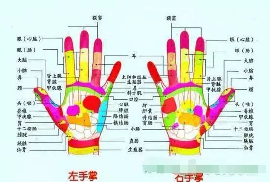 五指健身術:多動手多健康