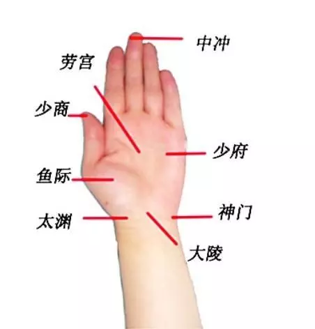 五指健身術:多動手多健康