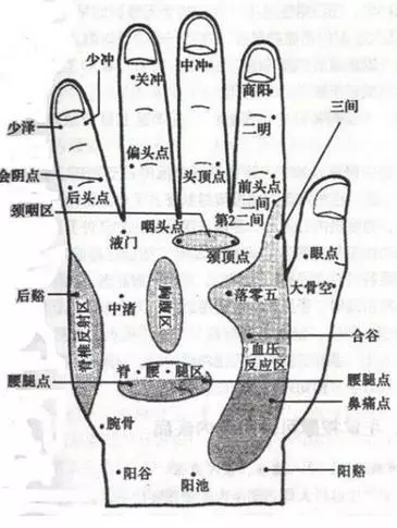 五指健身術:多動手多健康
