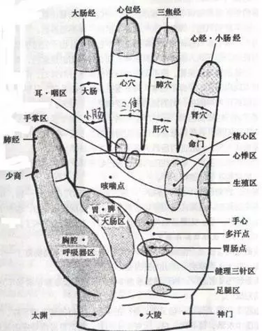 五指健身術:多動手多健康