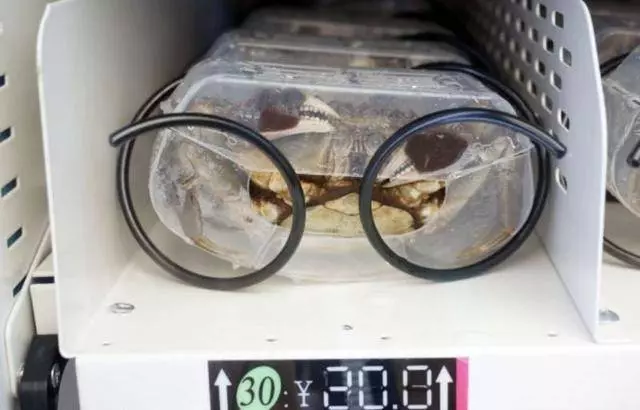 5台「怪奇的新穎販賣機」 #3 竟然連「毒品」也能自動販賣?