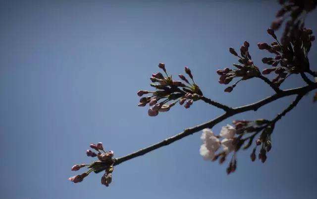 人生不順時,想想鬼谷子3句話,福報自然來!