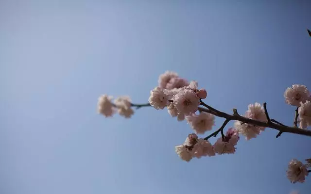 人生不順時,想想鬼谷子3句話,福報自然來!