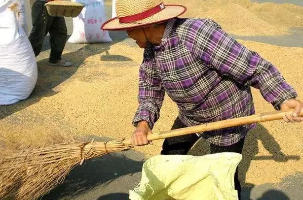 母親車禍去世,肇事司機賠償六十萬,兩年後看到母親手機,蒙了