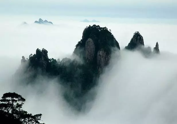 人,一定要懂得轉彎,該得到的不要錯過,該失去的,灑脫地放棄!