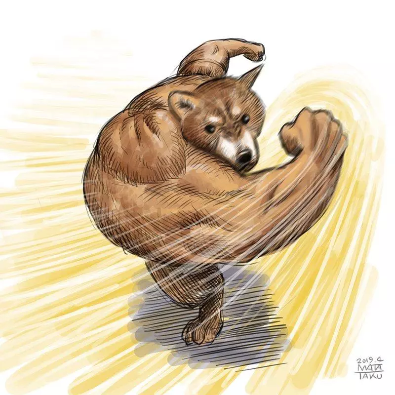 日本「右勾拳柴犬」大家玩得超開心 實體化公仔狂吸讚:好想扭~