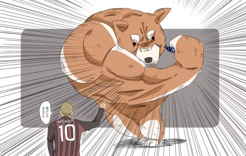 日本「右勾拳柴犬」大家玩得超開心 實體化公仔狂吸讚:好想扭~