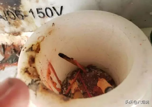 藍潔瑛墓碑被燒黑,現場凌亂不堪,粉絲微博怒斥