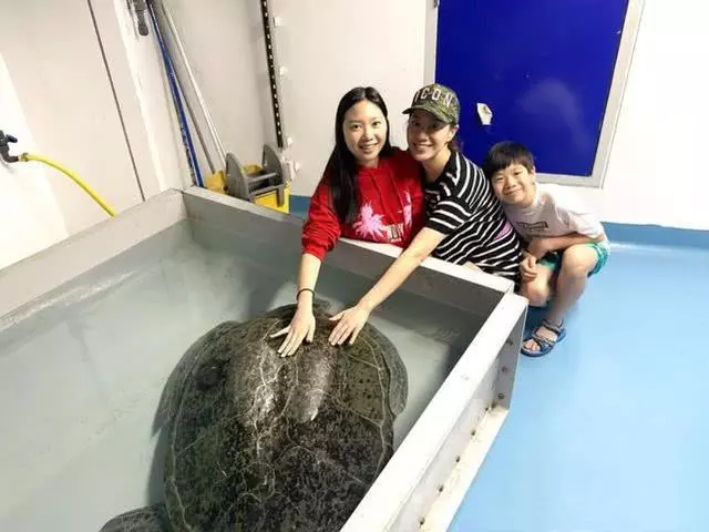 壕!甄子丹杜拜為嬌妻大搞生日趴,宴請圈中好友畫面太奢華!
