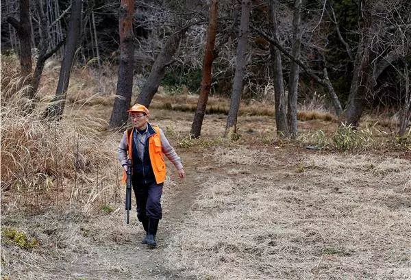 日本福島核輻射過了五年,生物變種千奇百怪,野豬變異長相嚇人!