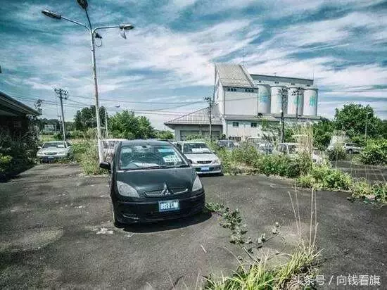 日本福島核輻射過了五年,生物變種千奇百怪,野豬變異長相嚇人!