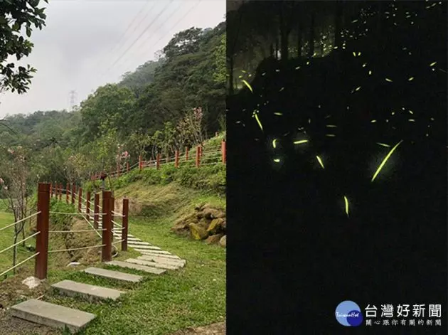今夏必去IG打卡熱點 六星級露營車度假賞螢趣