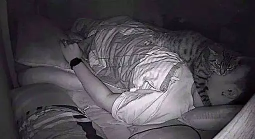 原來如此 半夜「被壓床」不能呼吸 他偷設監視器…起床見驚人一幕