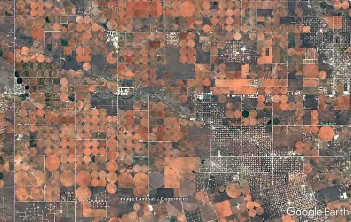 每天打開Google地圖仔細看… 男子找到30個「奇妙有趣」的衛星圖像