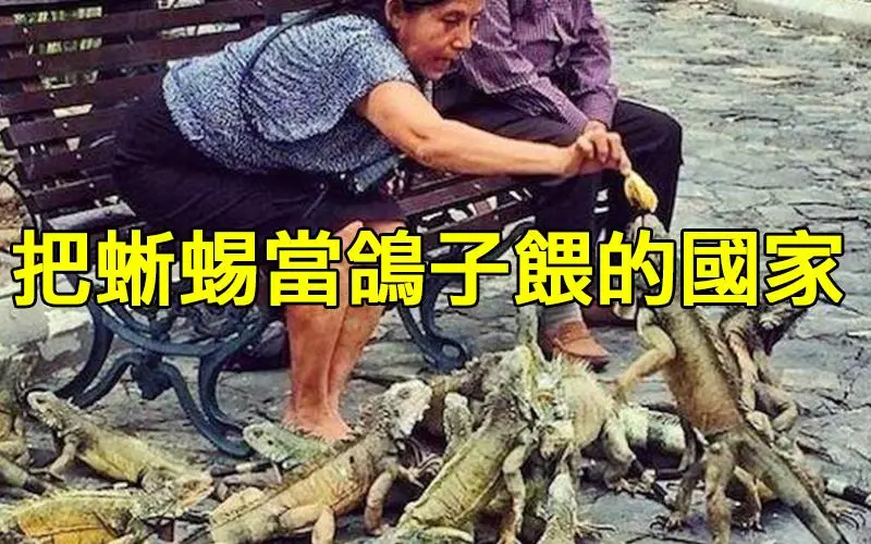 20張你平常絕對看不到還證明「這個世界比扯鈴還扯」的照片!