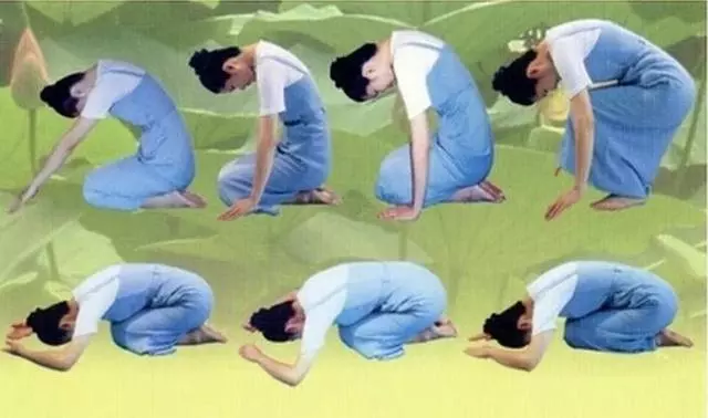百歲老人的長壽之法「跪膝法」,花1分鐘做個小動作,疏通血管,養肝護肝,膝蓋也不痛了