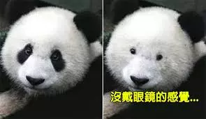 21個戴眼鏡的人每天都會默默吞下去的尷尬痛苦。