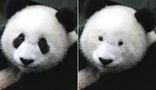 21個戴眼鏡的人每天都會默默吞下去的尷尬痛苦。