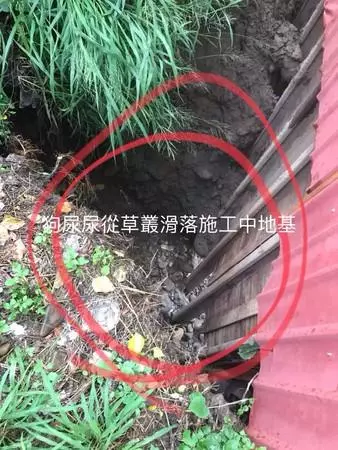 狗狗掉進5米深地基,工人用挖掘機救起,主人都沒發現狗丟了