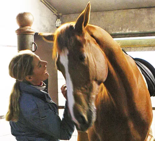 馬術選手在比賽前突然帶著愛馬向大家「鞠躬後就離場」,她淚崩說:「對不起...牠比獎牌重要」