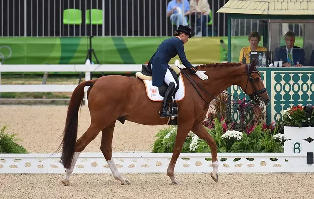馬術選手在比賽前突然帶著愛馬向大家「鞠躬後就離場」,她淚崩說:「對不起...牠比獎牌重要」