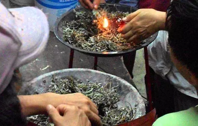 他只用了「電風扇+蘇打水」,一晚殺蚊8000隻!這招太厲害一定要學!!