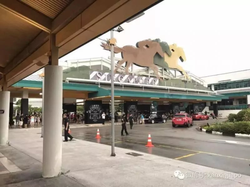 網友瘋狂吐槽「新加坡士林夜市」:擠爆了!水都買不到