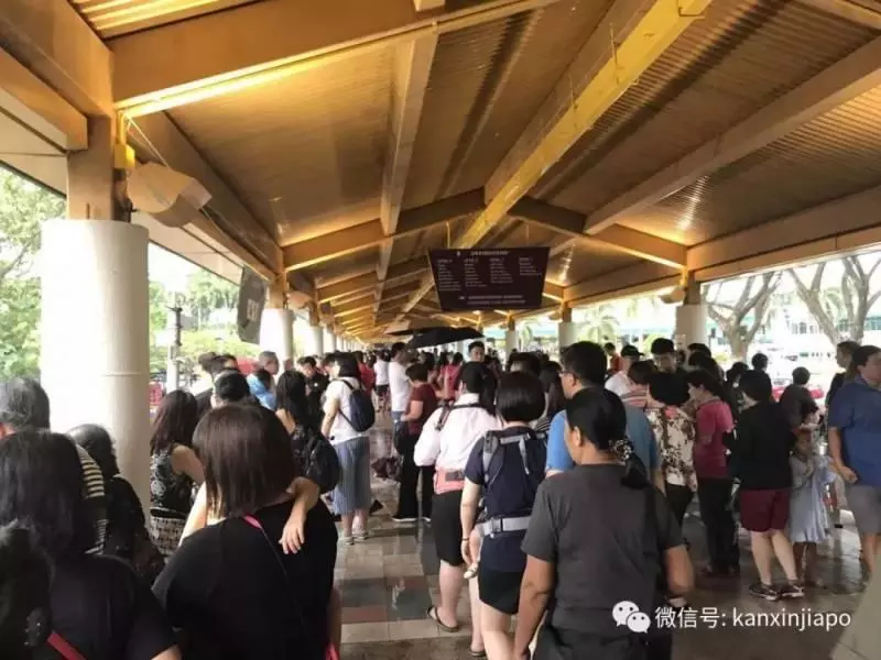 網友瘋狂吐槽「新加坡士林夜市」:擠爆了!水都買不到
