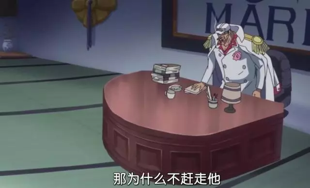 海賊王881集:藤虎被海軍拋棄了,赤犬承認龍有一挑三大將的實力