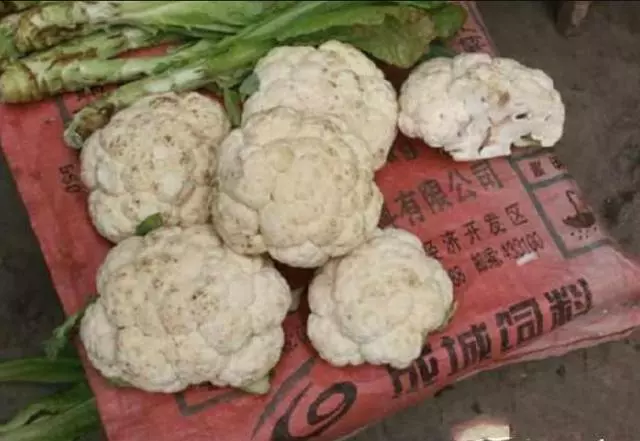聰明人從不吃六種菜,可惜很多人還不知情,菜販子:傻子會買