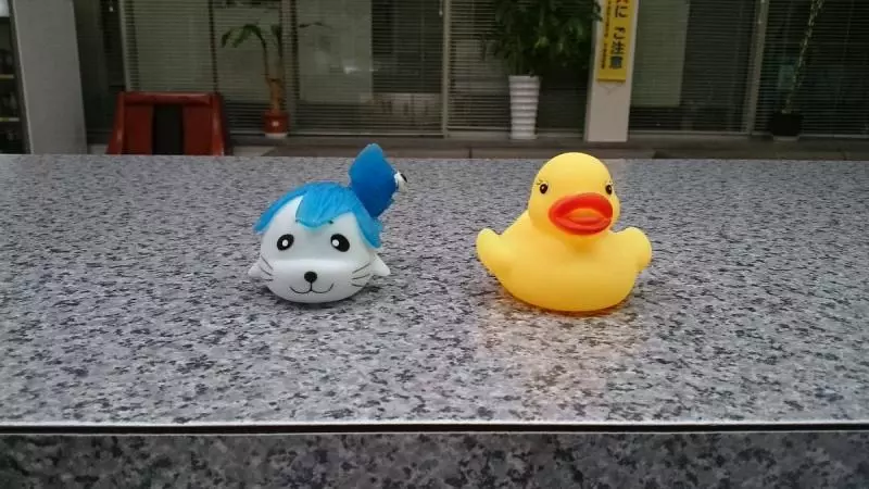 澡堂鴨鴨浴體現「男女湯最大差異」 網笑:男生還不想長大