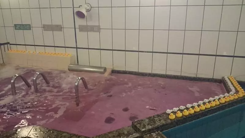澡堂鴨鴨浴體現「男女湯最大差異」 網笑:男生還不想長大