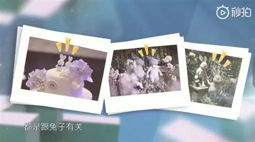 養精蓄銳?趙又廷「停工半年」內幕曝
