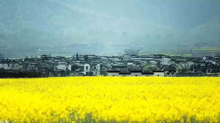 這對70後IT夫婦在皖南改造的田園山居,讓程序猿和文藝青年們都哭瞎了!