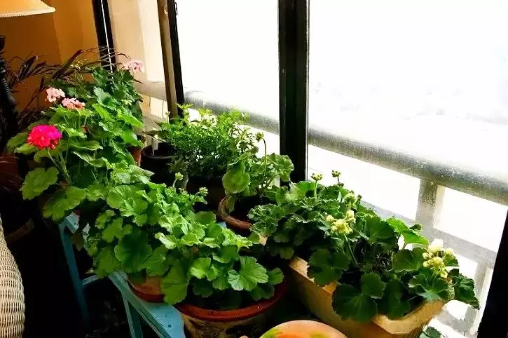 這對70後IT夫婦在皖南改造的田園山居,讓程序猿和文藝青年們都哭瞎了!