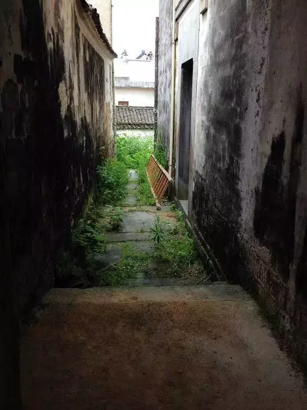 這對70後IT夫婦在皖南改造的田園山居,讓程序猿和文藝青年們都哭瞎了!