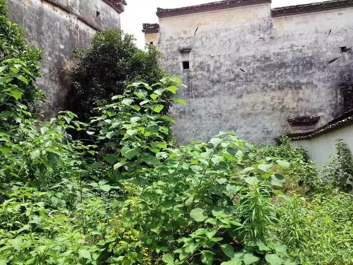 這對70後IT夫婦在皖南改造的田園山居,讓程序猿和文藝青年們都哭瞎了!