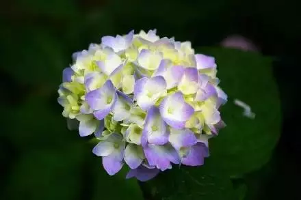 這對70後IT夫婦在皖南改造的田園山居,讓程序猿和文藝青年們都哭瞎了!