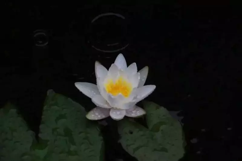 這對70後IT夫婦在皖南改造的田園山居,讓程序猿和文藝青年們都哭瞎了!