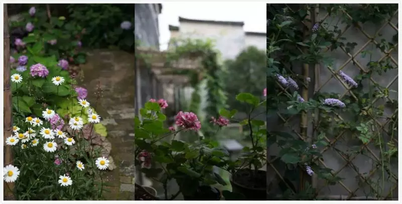 這對70後IT夫婦在皖南改造的田園山居,讓程序猿和文藝青年們都哭瞎了!
