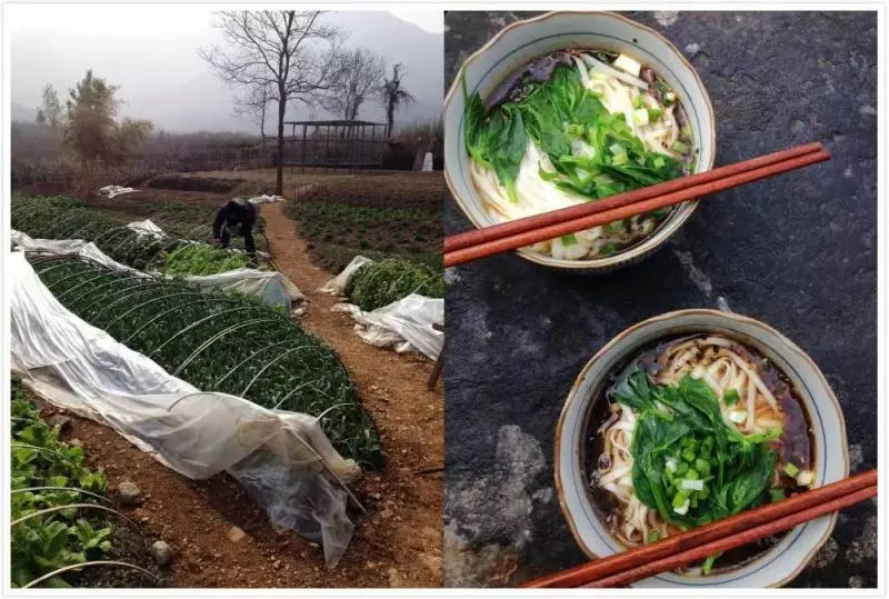 這對70後IT夫婦在皖南改造的田園山居,讓程序猿和文藝青年們都哭瞎了!