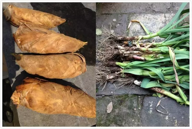 這對70後IT夫婦在皖南改造的田園山居,讓程序猿和文藝青年們都哭瞎了!