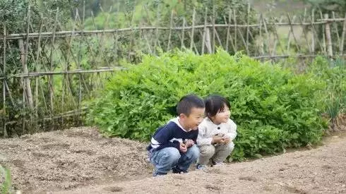 這對70後IT夫婦在皖南改造的田園山居,讓程序猿和文藝青年們都哭瞎了!