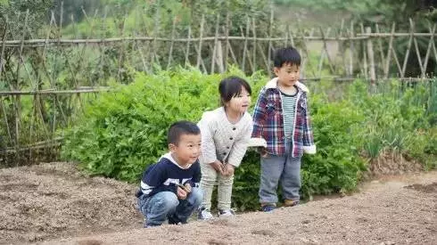 這對70後IT夫婦在皖南改造的田園山居,讓程序猿和文藝青年們都哭瞎了!