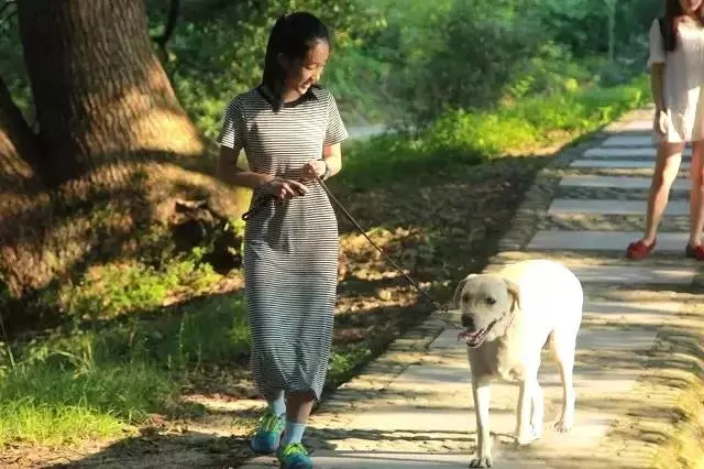 這對70後IT夫婦在皖南改造的田園山居,讓程序猿和文藝青年們都哭瞎了!