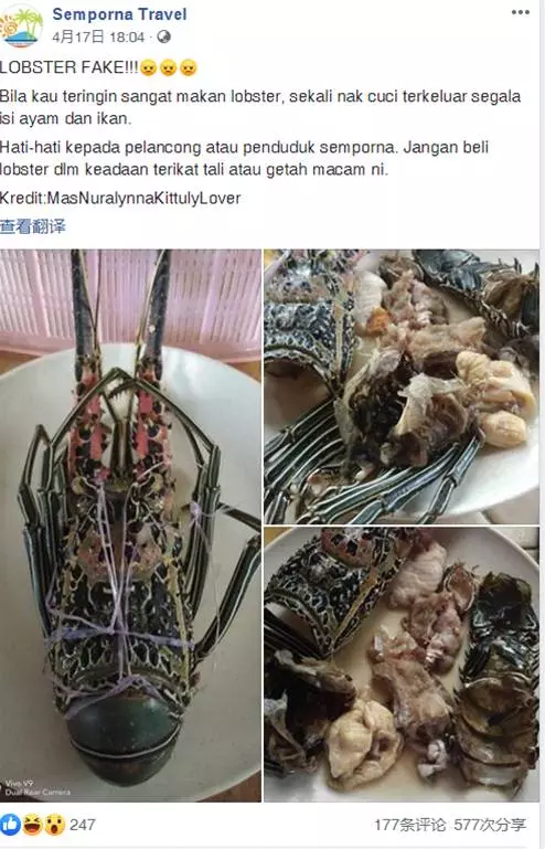 【大馬現「掛羊頭賣狗肉」的龍蝦】打開卻發現裝滿了「這些」肉?網民看了都噴飯了!