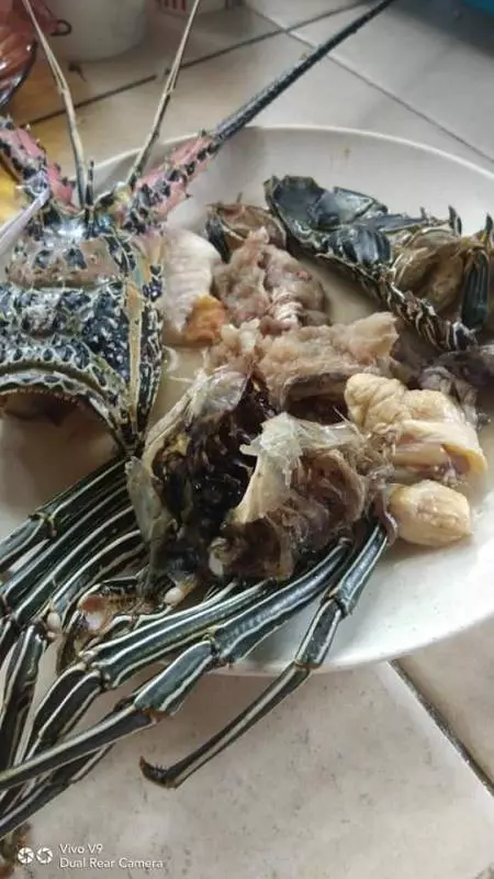【大馬現「掛羊頭賣狗肉」的龍蝦】打開卻發現裝滿了「這些」肉?網民看了都噴飯了!