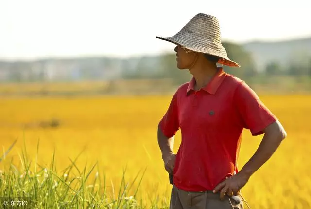 老婆三年未孕,我強拉著她去醫院做檢查,報告出來後,我扔她臉上