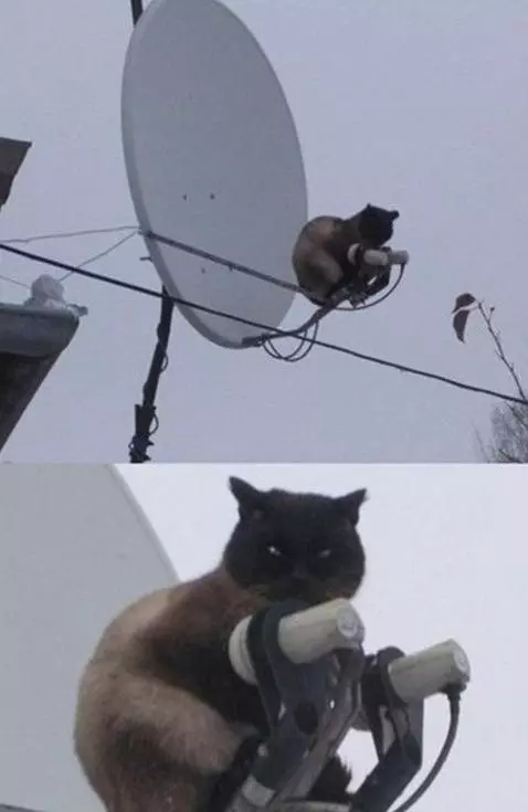 32張超爆笑圖片讓我下巴掉地上了!尤其是第7張真的太猛....我下次打牌也要用!